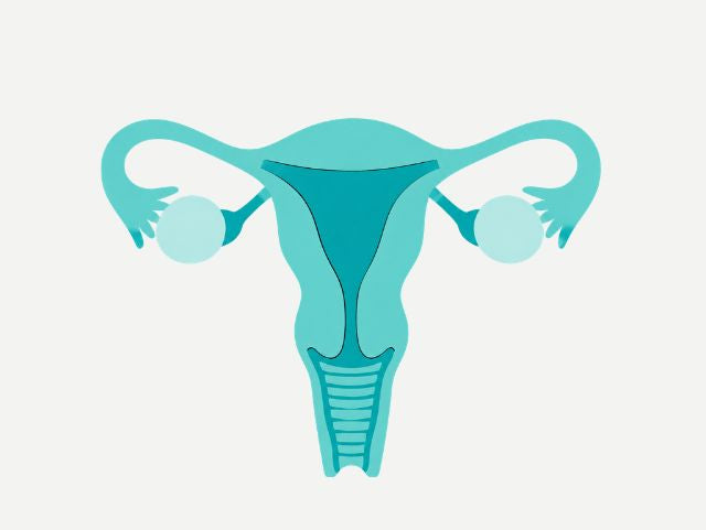Optimising nutrition in perimenopause and menopause: A practical guide