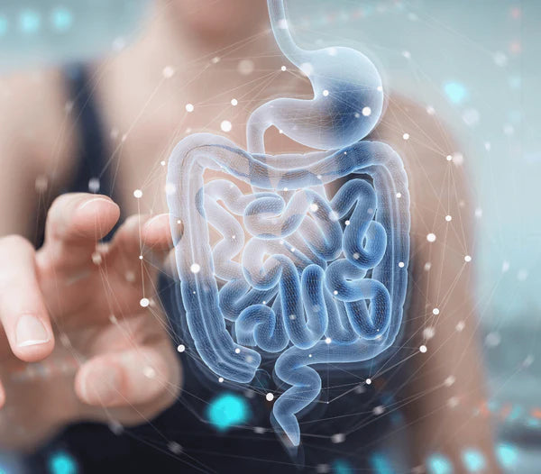 Optimising the gut microbiome
